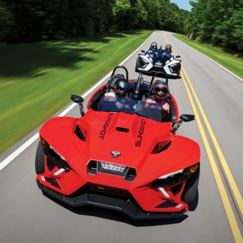 Polaris-Slingshot-img